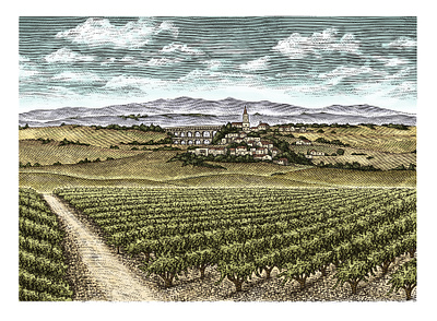 Vinaforé Wine Label artwork design engraving etching illustration landscape line art logo scratchboard steven noble vineyard wine label