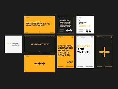 Designer Survival Kit – Brand Assets brand identity brand identity course brand strategy branding branding course branding tutorial branding workshop design graphic design logo