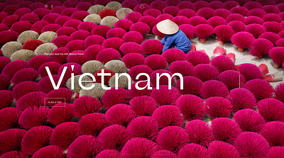 Vietnam Travel website design discovery travel ui ux vietnam website