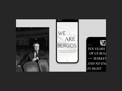 Bergos Bank - Mobile Screens art branding design flat graphic design illustration logo minimal typography ux vector web website