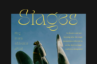 Stager - Unique Classy Serif branding chic decorative display elegant fashion feminine font fonts headline logo luxury magazine minimal modern retro serif thin unique wedding