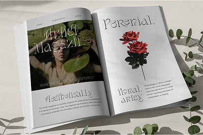 Stager - Unique Classy Serif book brand branding design display elegant feminine font fonts header headline identity invitation luxury magazine post card poster serif unique wedding