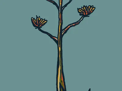 Century Plant hand drawn illustration texas