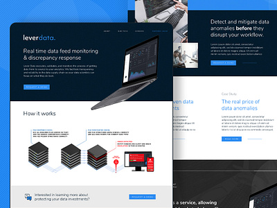 Lever Data homepage visual design