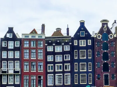 Essence of the Netherlands flowers nature photographs photography urban