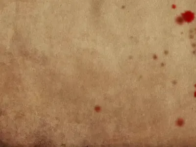 Quentin Tarantino Film festival animation branding graphic design logo ui