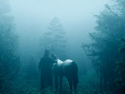 Fog 3d art b3d blender blender3d design horse illustration render