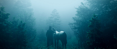 Fog 3d art b3d blender blender3d design horse illustration render