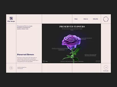 White Roses design flowers ilo chani rose ui web concept web design webdesign