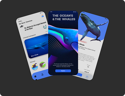 The Ocean's & the whales app design figma mobile app design mockeups ui ux