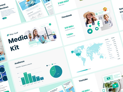 Media Kit Light advertising brand branding design graphic illustration infographic infography kit media kit offer presentation research social social media statistics ui vector web