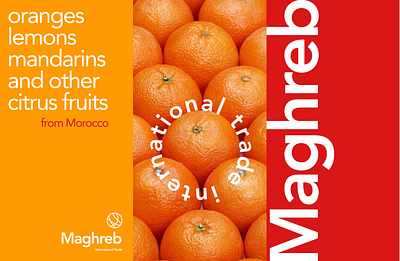 MAGHREB branding citrus design fruits graphic design identity illustration logo logotype typography vector visual identity