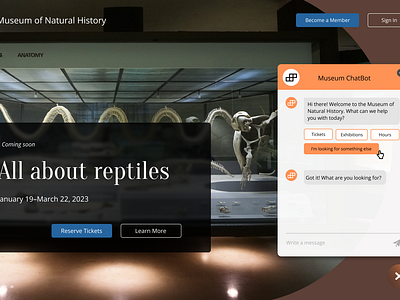 Museum Conversation User Interface (CUI) bot chatbot conversation design conversation user interface cui design