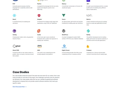 Salt Technologies - Software Development Company - Web Design minimal software ui website