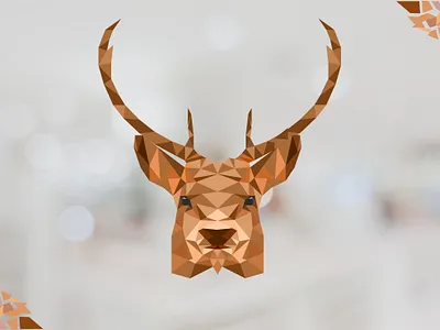 Low Poly Design design graphic design illustration illustrator