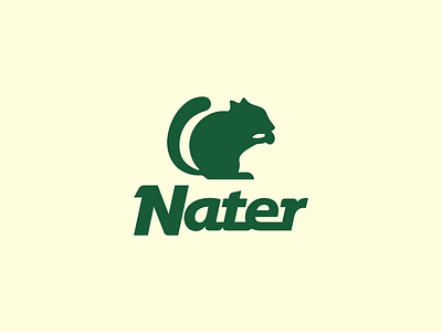 Nater Logo branding clothing company logo outdoors typography winter