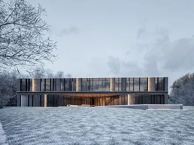 Exterior Conceptual Rendering of a building in winter. 3d 3d render architectural visualization exterior render rendering