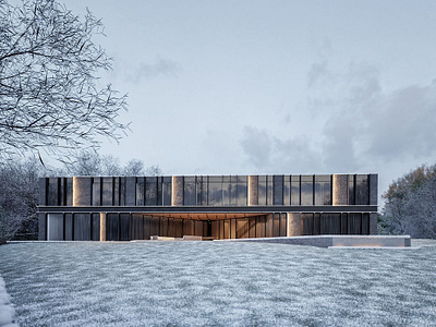 Exterior Conceptual Rendering of a building in winter. 3d 3d render architectural visualization exterior render rendering