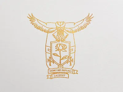 Blazon alexandra miracle blazon branding crusaders design eagle illustration knight la lat logo logotype owl vector