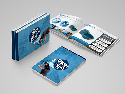 Big Blue Bowl – Branding & Presentation Design (Digital + Print) branding design graphic design illustration logo typography ui ux vector