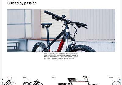 Fyxation Website Redesign typography