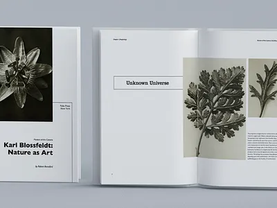 Karl Blossfeldt: Nature as Art graphic design typography