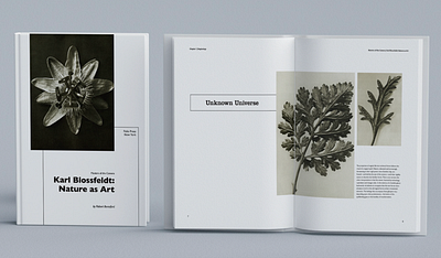Karl Blossfeldt: Nature as Art graphic design typography