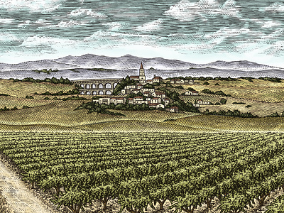 Cote du Rhone Vinafore Collection by Steven Noble artwork design engraving etching illustration landscape line art logo scratchboard steven noble wine woodcut