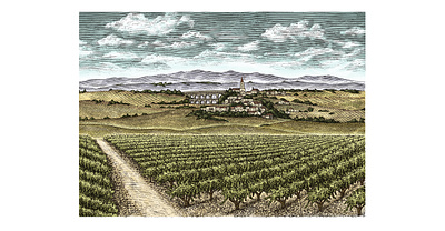 Cote du Rhone Vinafore Collection by Steven Noble artwork design engraving etching illustration landscape line art logo scratchboard steven noble wine woodcut
