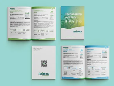 catalog raoinbow animation brendbook brending design graphic design illustration logo motion graphics ui