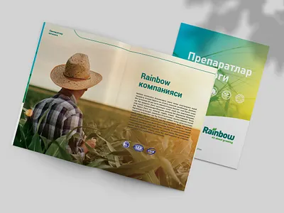 catalog rainbow catalog design graphic design illustration vector