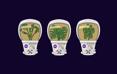 Space Plants design illustration procreate