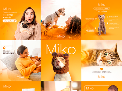 Social media | Miko brand branding cat dog friends graphic design identity logo lovemark pest