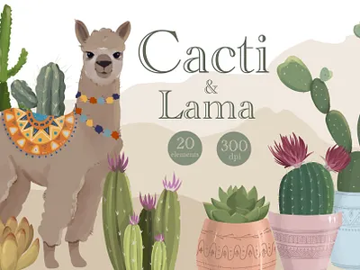 Cacti and Lama cacti fiesta home plant lama plant