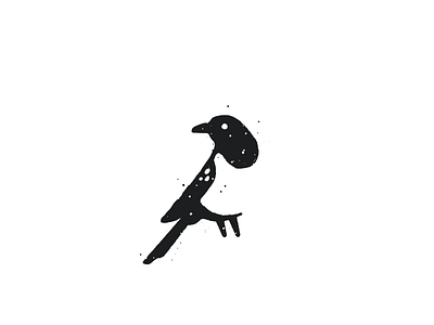 Magpie animal bird birdie birds birdy black and white chick feather feathered flying fowl illustration magpie procreate