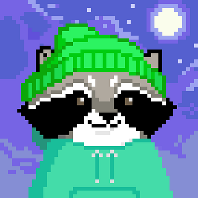 Chillin' Raccoon design graphic design illustration