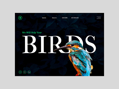 birds website app design branding design figma graphic design illustration landing page design photoshop ui uiux design user experience design user interface design ux webpage design