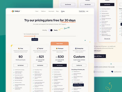 TIMELY - Pricing Plan Page | UI Design clean design clean ui digital product landing page modern plan price planning pricing plan pricing table product design responsive saas time management tracking software ui ui design uiux ux design web design website design