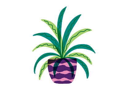 Spiderrrplant drawing experiment houseplants illustration photoshop plants truegritsupply wip