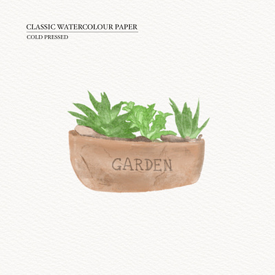 Plant design illustration illustration watercolor procreat procreat watercolor illustration watercolor illustration