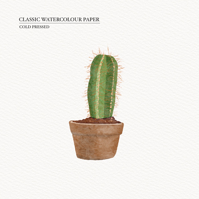 Plant illustration illustration watercolor procreat procreat watercolor illustration watercolor illustration