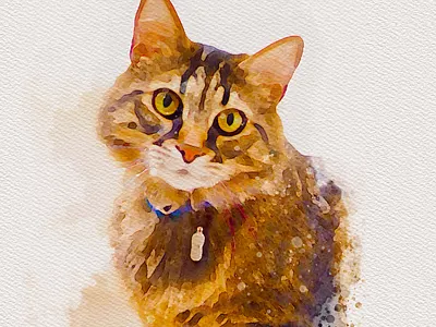 Pet Portrait - Darwin app branding design graphic design illustration logo typography ui ux vector