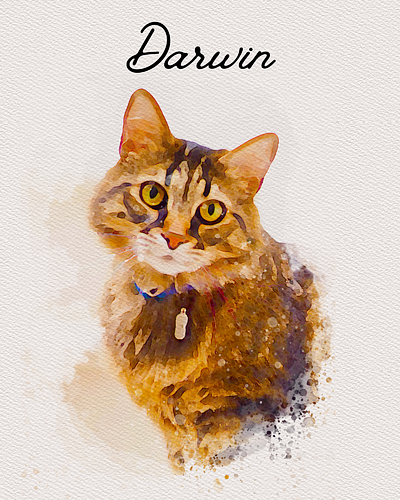 Pet Portrait - Darwin app branding design graphic design illustration logo typography ui ux vector