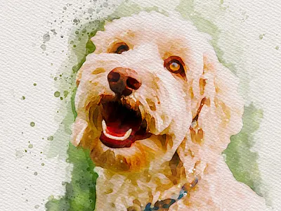 Pet Portrait - Buddy app branding design graphic design illustration logo typography ui ux vector