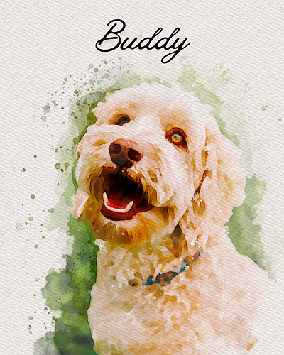Pet Portrait - Buddy app branding design graphic design illustration logo typography ui ux vector