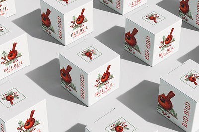 Cosmetic box design bird box design box design inspiration box packaging box warping boxes cosmetic box design design illustration packaging box design packaging design packaging display perfume box premium box design product packaging square box design