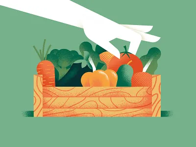 Picking up basket begetable daniele simonelli dsgn fruit hand illustration picking picking up texture vector wood