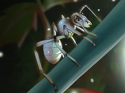 FP' Creativity art cartooning graphic design graphicarts illustration