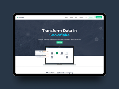 Datameer analytics computing data data catalog data preparation data profiling datasets platform saas snowflake software startup technologies technology unicorn website design