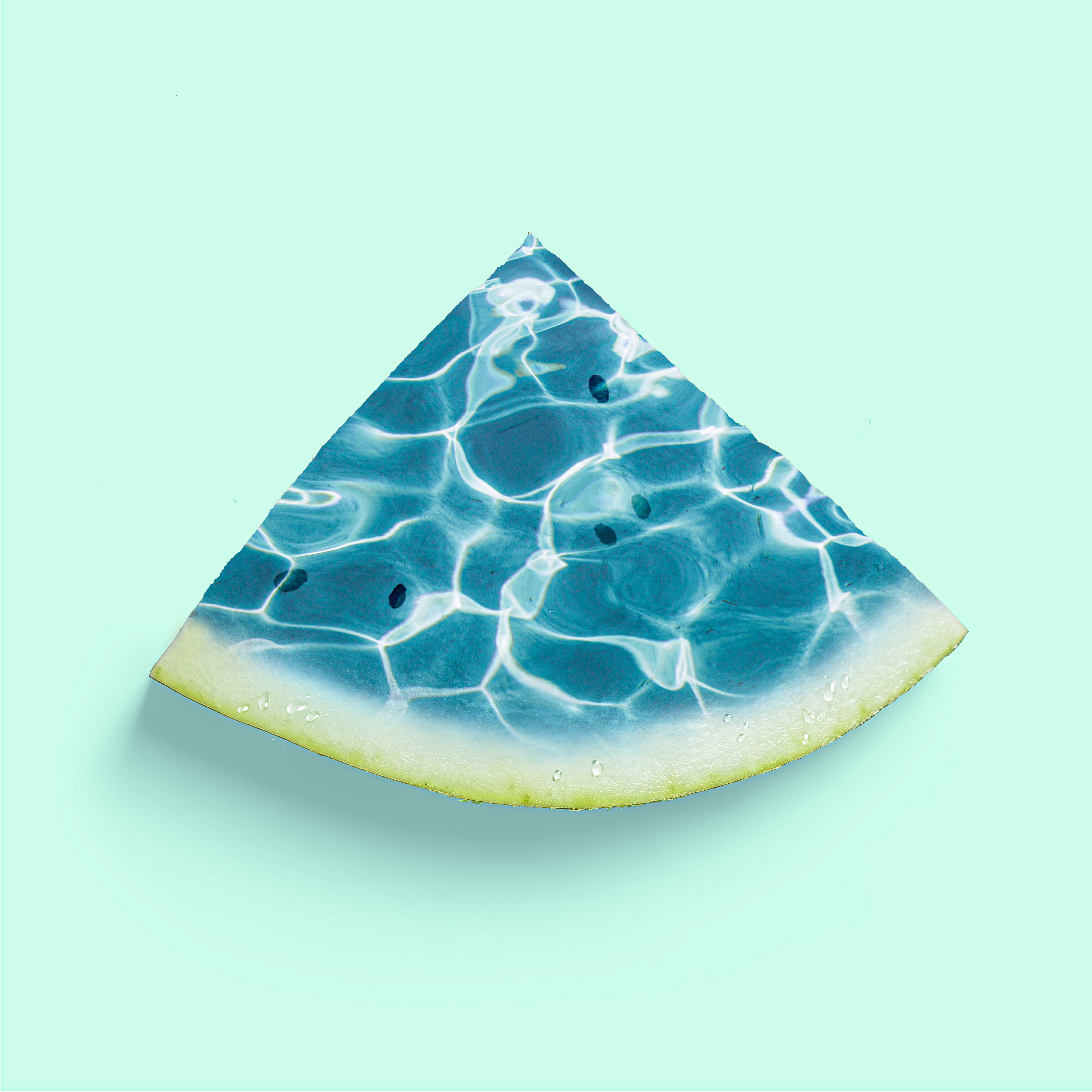 Watermelon ;) branding church design graphic design illustration logo typography ui ux vector